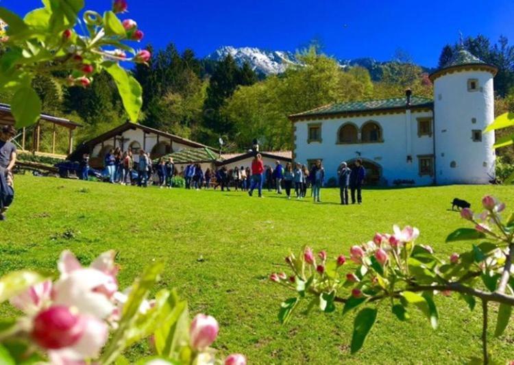 Agriturismo Randis Piano d'Arta Exterior photo